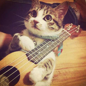 日本红怡院在线
